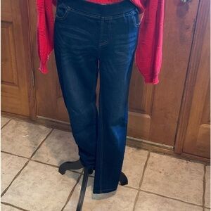 JVINI pull on demon pants size large EUC